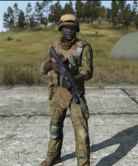 File:Arma2 USMC grenadier.jpg