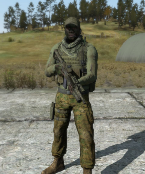 File:Arma2 FR tl.jpg