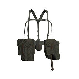 File:picture gm pl army vest 80 rifleman gry ca.png