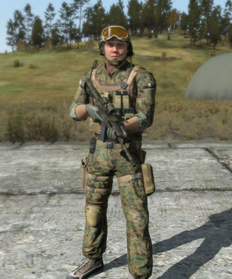 File:Arma2 FR assault.jpg
