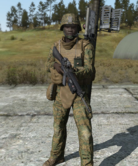 File:Arma2 USMC aa.jpg
