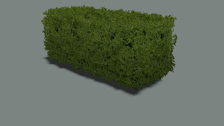 File:Land Hedge 01 s 2m F.jpg