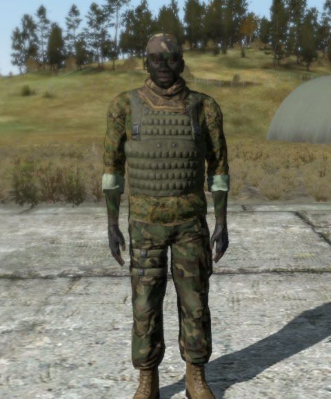 File:Arma2 FR captive.jpg