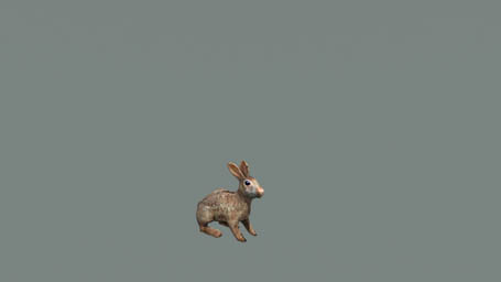 arma3-rabbit f.jpg