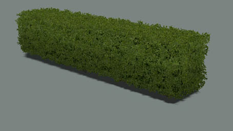 File:arma3-land hedge 01 s 4m f.jpg