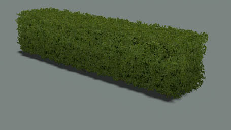 File:Land Hedge 01 s 4m F.jpg