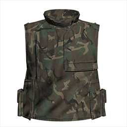 File:picture gm dk army vest m00 wdl ca.png