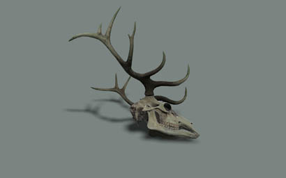 arma3-land deerskeleton skull 01 f.jpg