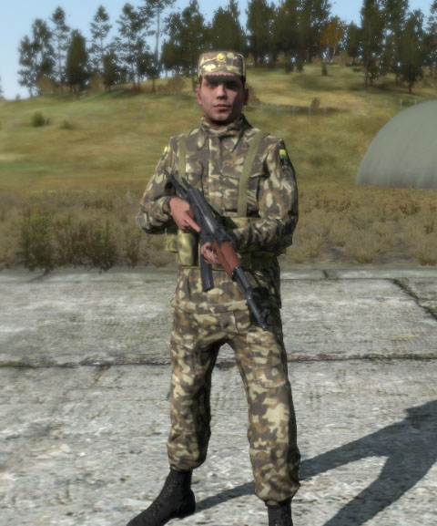 File:Arma2 CDF militia.jpg