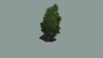 Land t fagus2s.jpg