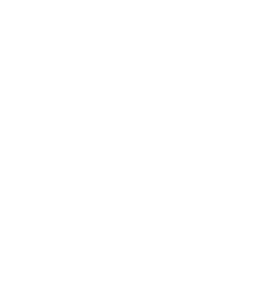 File:bi symbol white.png