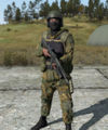 Arma2 MVD grenadier.jpg