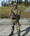 Arma2 CDF mg.jpg