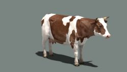 SPE Cow Brown.jpg