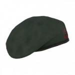 h spex cw beret krrc ca.png