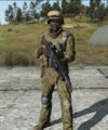 Arma2 USMC sl.jpg